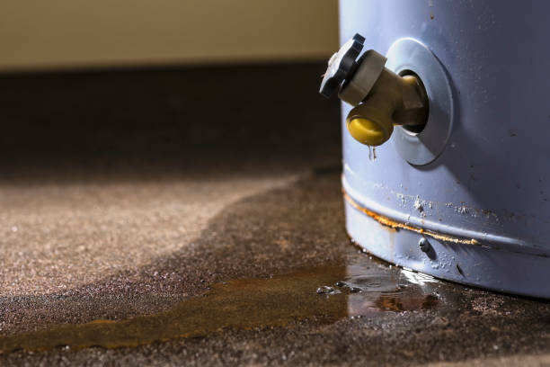 Best 24-hour water damage restoration  in Sun City, AZ