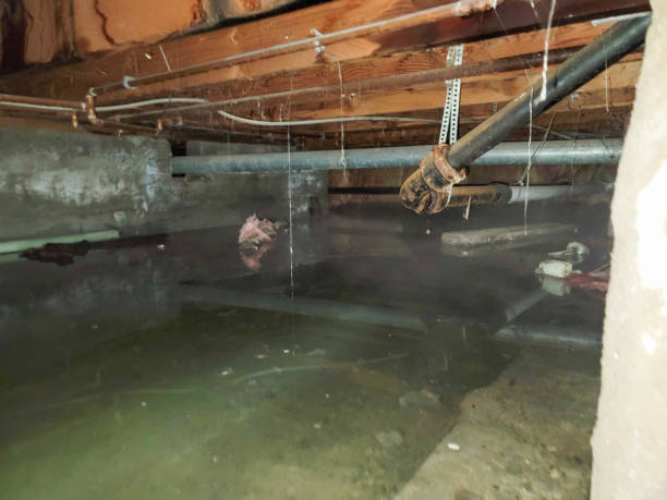 Water damage restoration insurance claims in Sun City, AZ