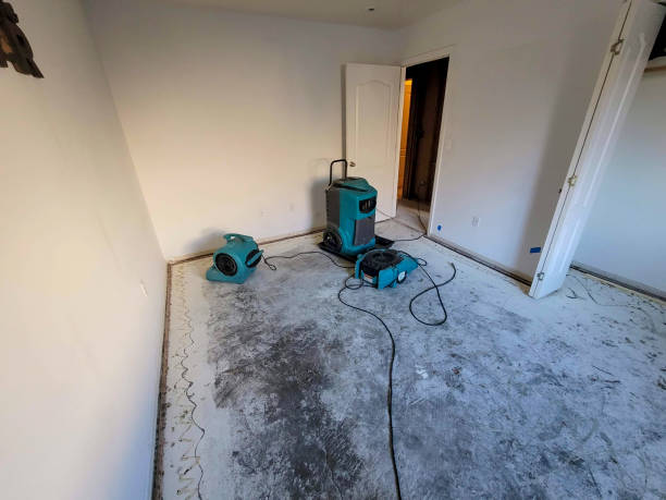 Best Water damage cleanup near me  in Sun City, AZ