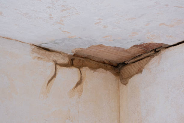 Best Fire Damage Restoration  in Sun City, AZ