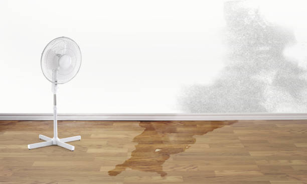Best Commercial water damage restoration  in Sun City, AZ