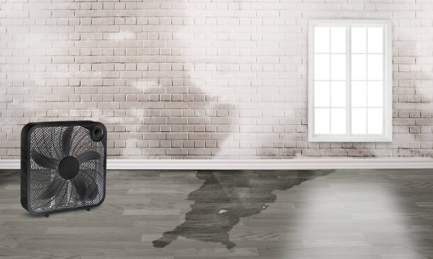 Best Water damage restoration near me  in Sun City, AZ