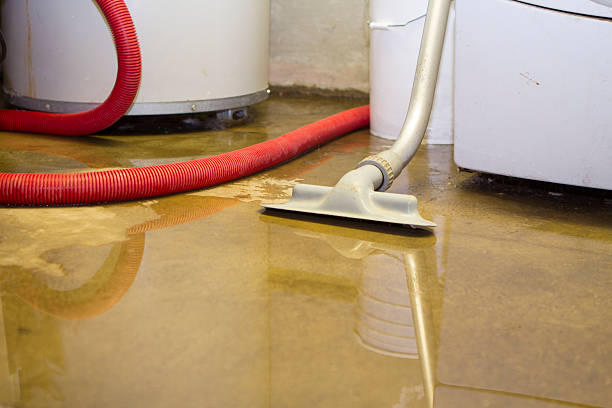 Sun City, AZ Water damage restoration Company