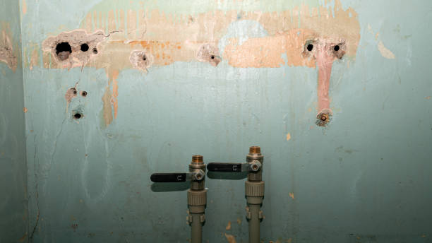 Best Water damage mitigation services  in Sun City, AZ