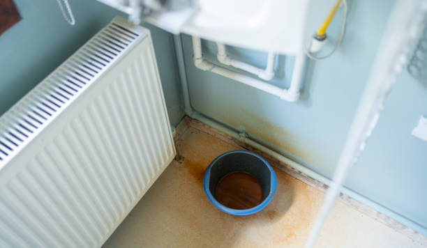 Best Mold removal after water damage  in Sun City, AZ
