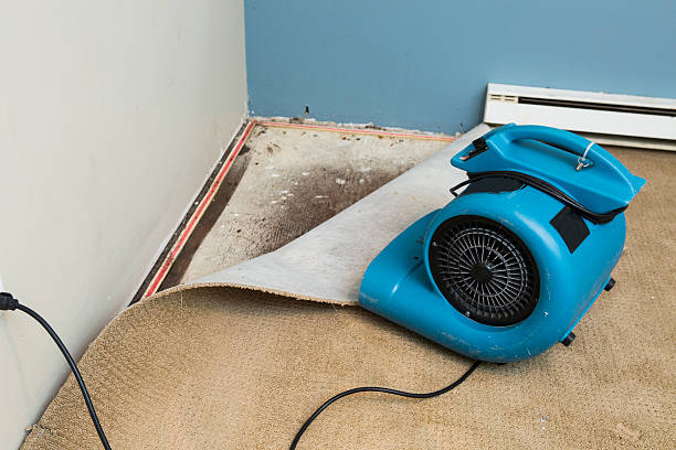 Best Water damage restoration cost  in Sun City, AZ
